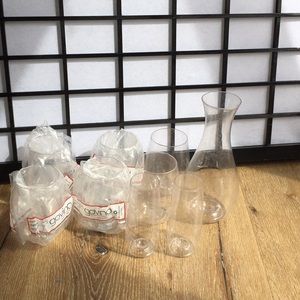 Govino unbreakable wine glasses & decanter